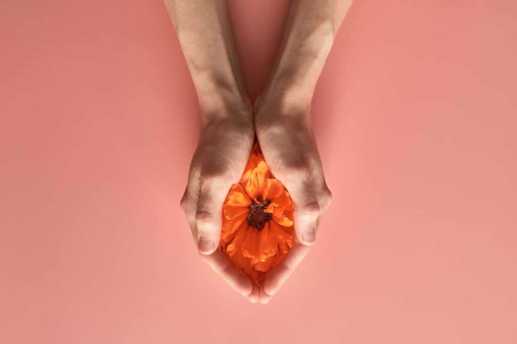 1A- HAE-Blume-in-Haenden_350291556-2