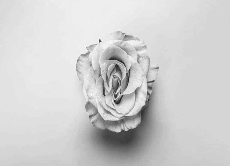 Vaginale Verjüngung